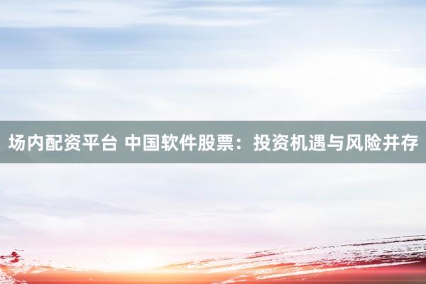 场内配资平台 中国软件股票：投资机遇与风险并存