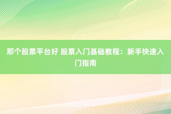 那个股票平台好 股票入门基础教程：新手快速入门指南