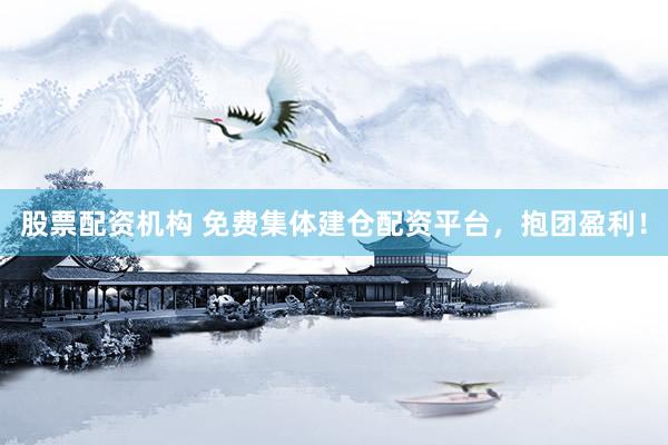 股票配资机构 免费集体建仓配资平台，抱团盈利！