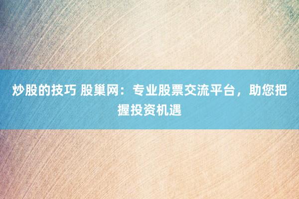 炒股的技巧 股巢网：专业股票交流平台，助您把握投资机遇