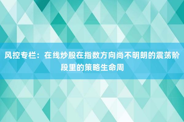 风控专栏：在线炒股在指数方向尚不明朗的震荡阶段里的策略生命周