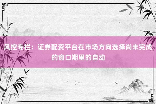 风控专栏：证券配资平台在市场方向选择尚未完成的窗口期里的自动