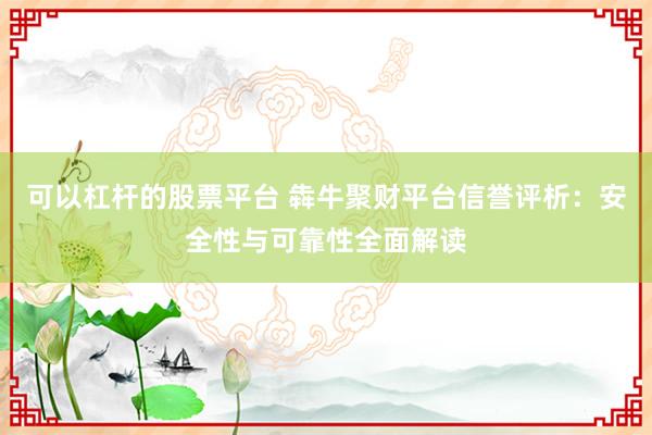 可以杠杆的股票平台 犇牛聚财平台信誉评析：安全性与可靠性全面解读