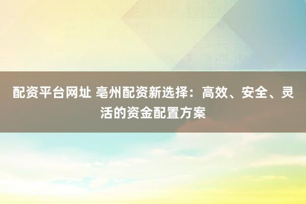 配资平台网址 亳州配资新选择：高效、安全、灵活的资金配置方案